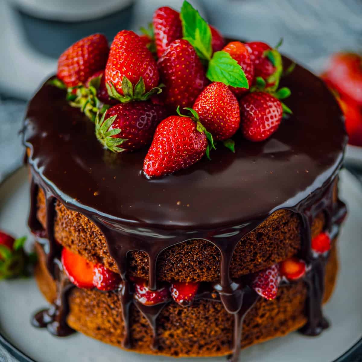 Chocolate Truffle Cake